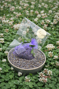 Lavender Sachet – Natural Fragrance Sachet by Amber Sisters