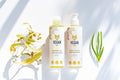 Linden Blossom Shower & Hand Care Set – Handmade Natural Cosmetics made in Latvia